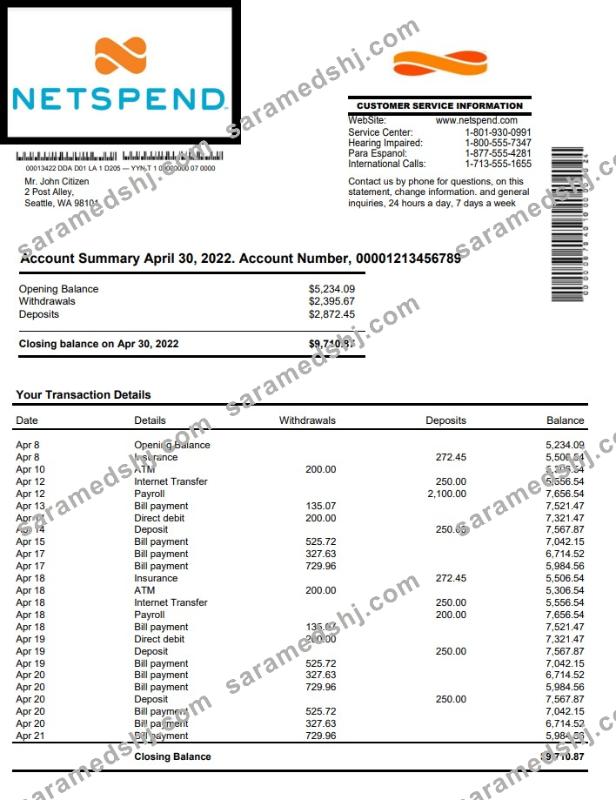 USA Netspend bank statement